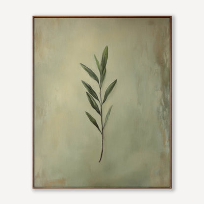 Olive Branch of Peace