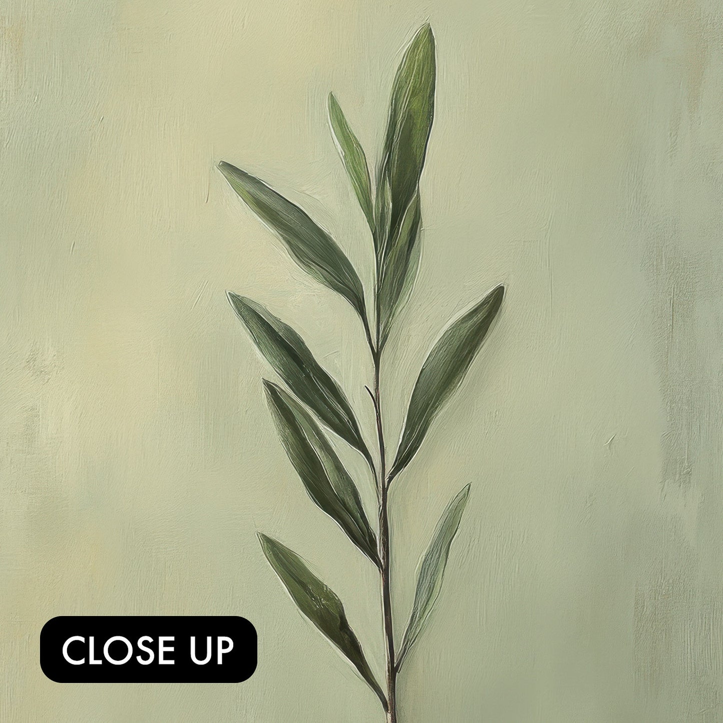 Olive Branch of Peace