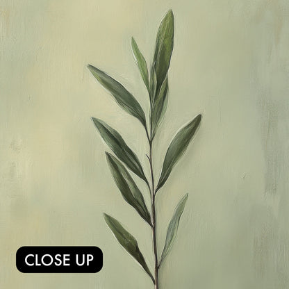 Olive Branch of Peace