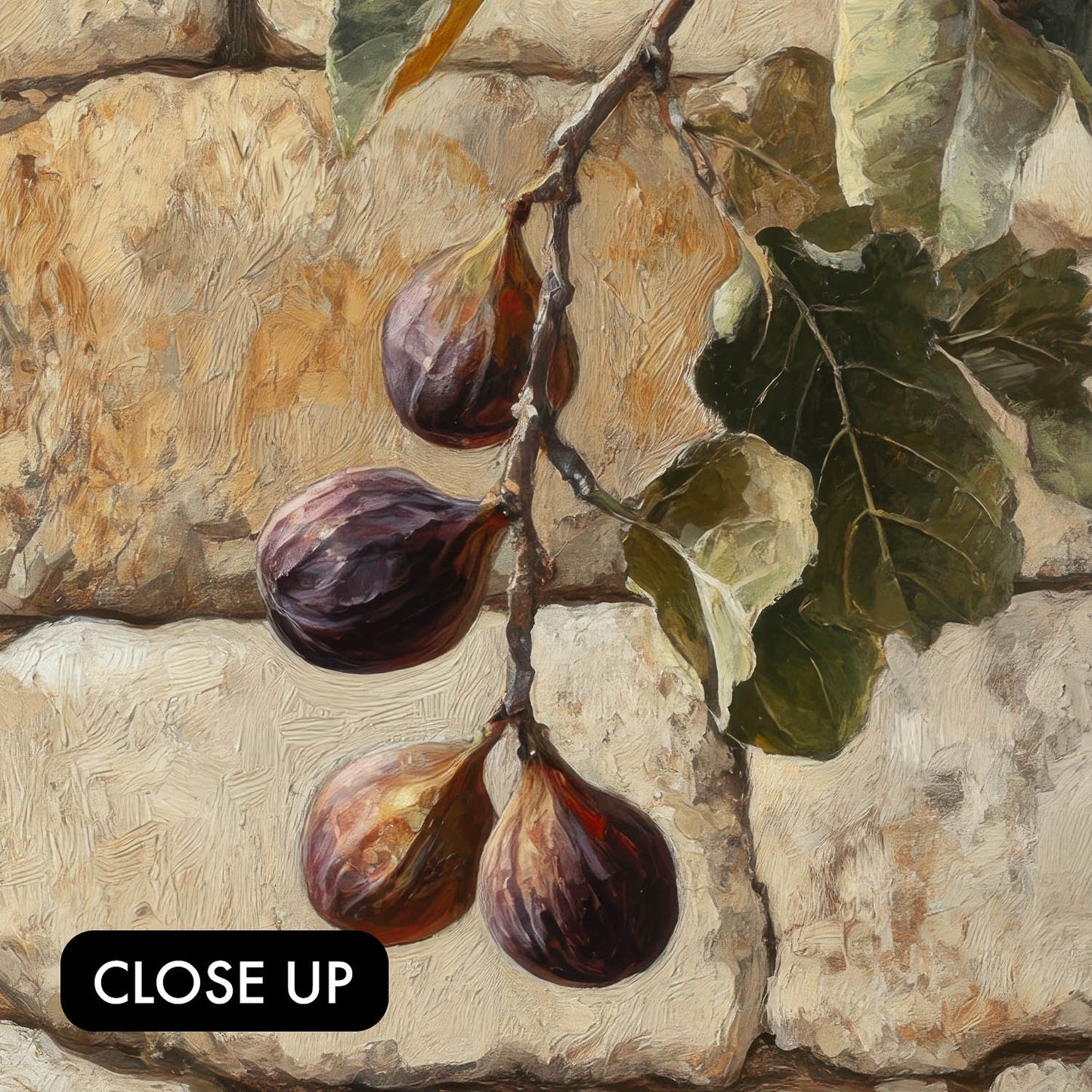 Figs on the Wine