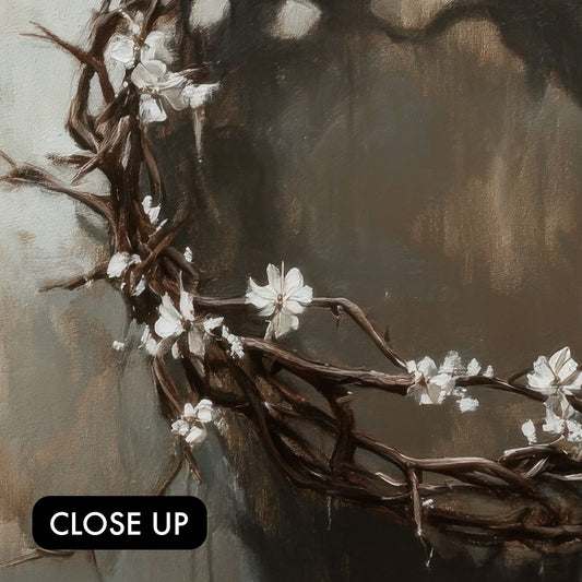 Crown of Thorns in Bloom
