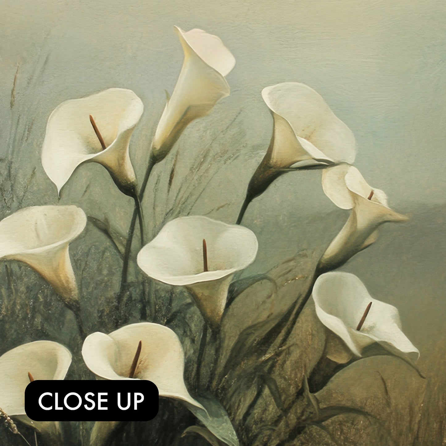 Consider the Lilies