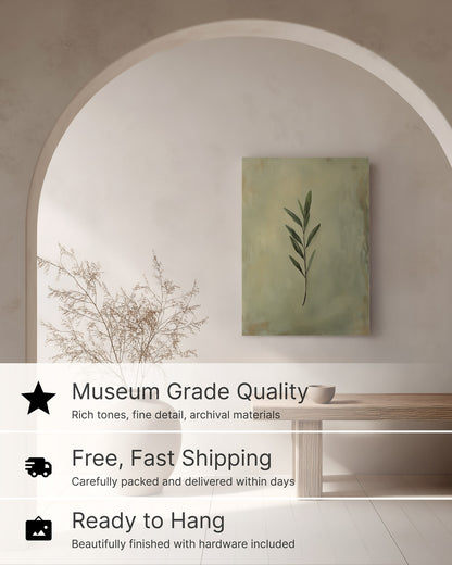 Olive Branch of Peace